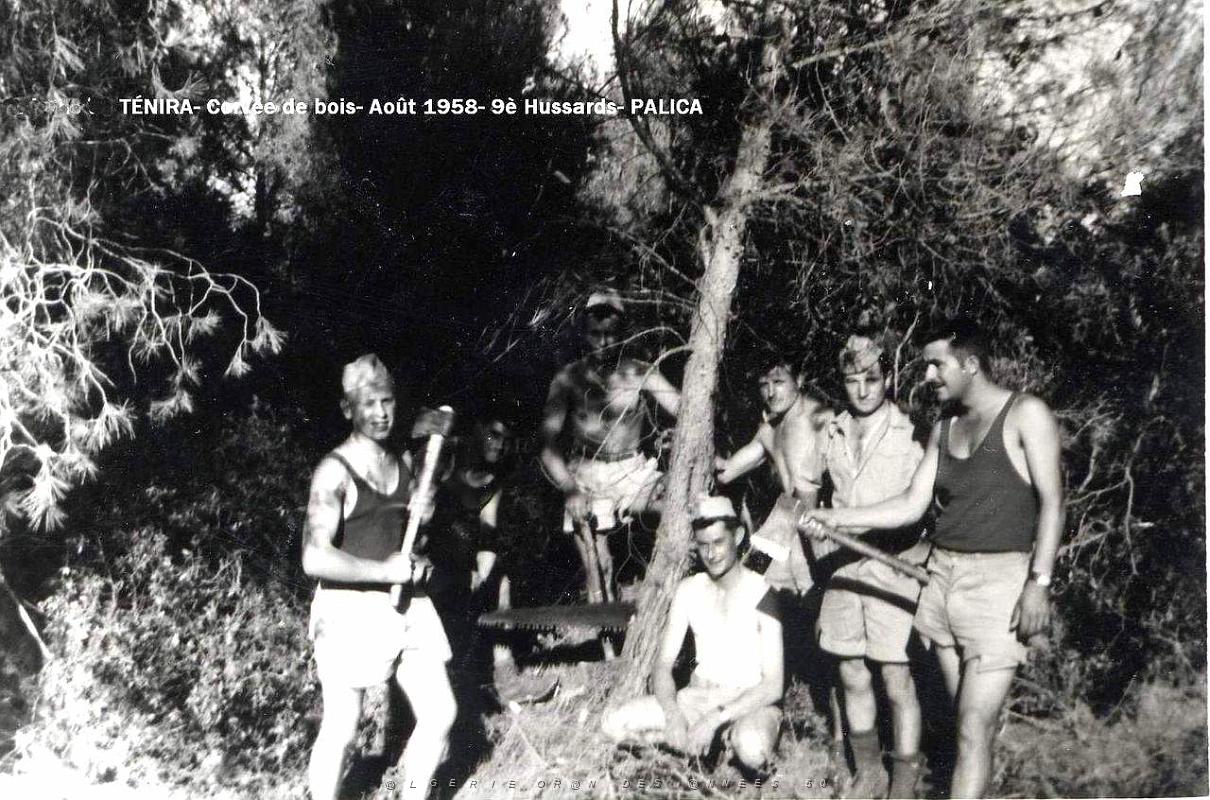 Palica - Divers 022.JPG